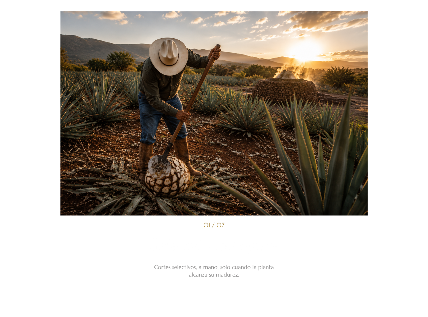 procedimiento (1)