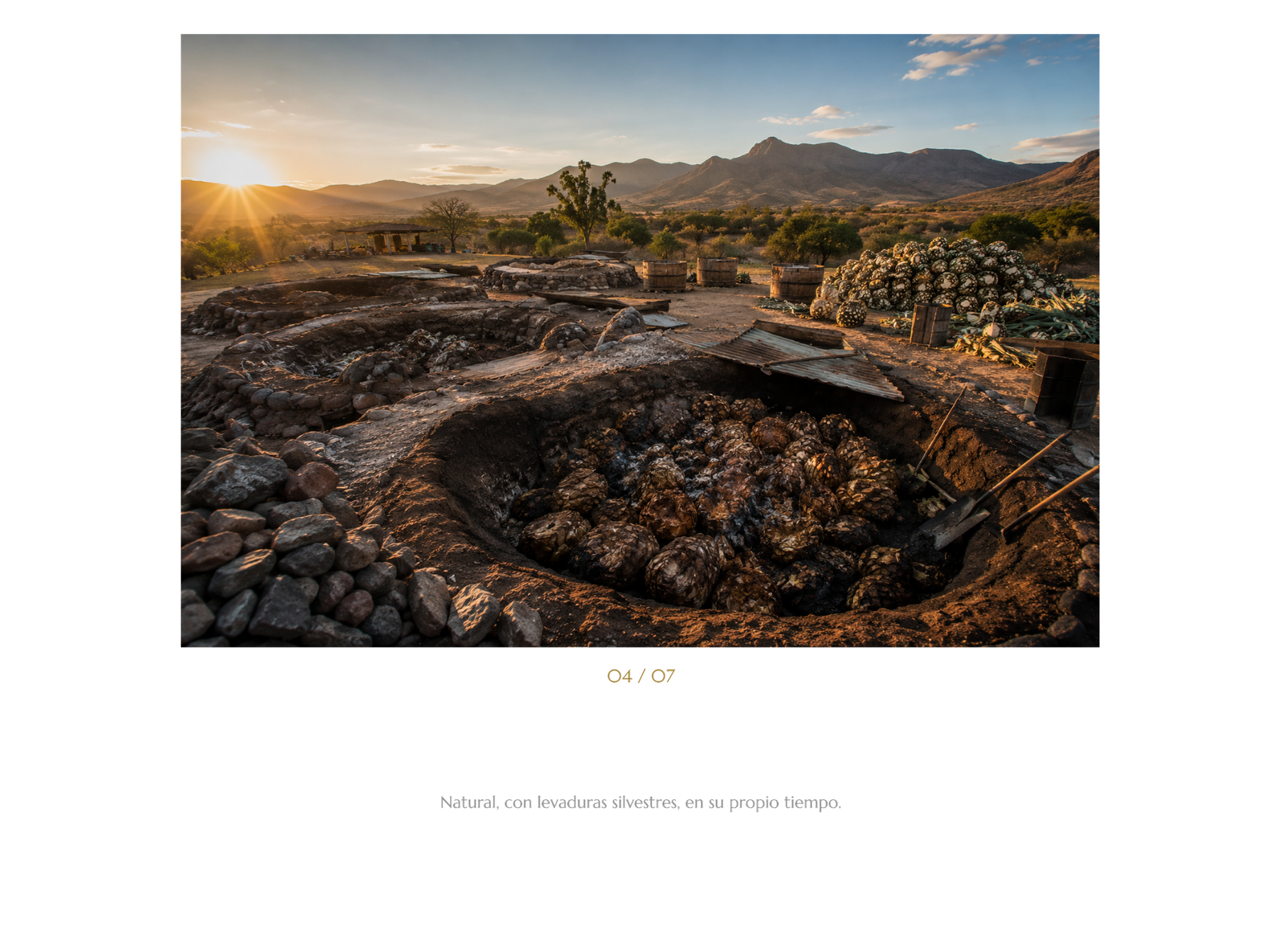 procedimiento (4)