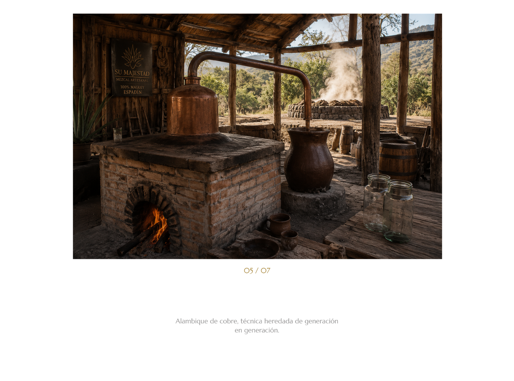 procedimiento (5)